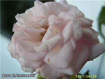 06bd74631a69.jpg