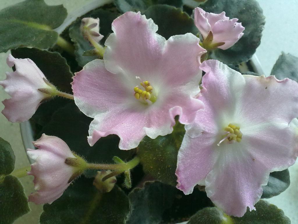 11052012037.jpg