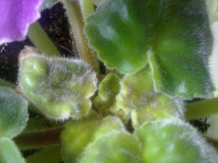 160320132422.jpg