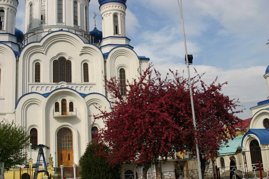 195_измен.размер.jpg