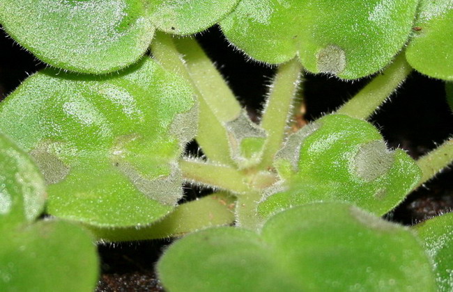 20090708_4301_001.jpg