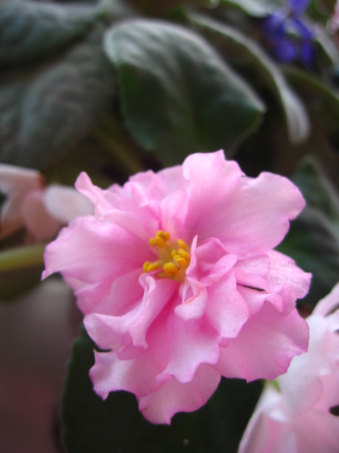 2010 346.JPG