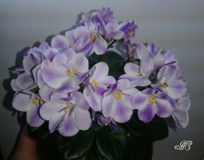 20130506_102840.jpg