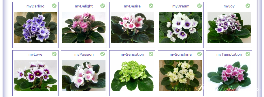 2014-07-04 13-45-44 Скриншот экрана.png