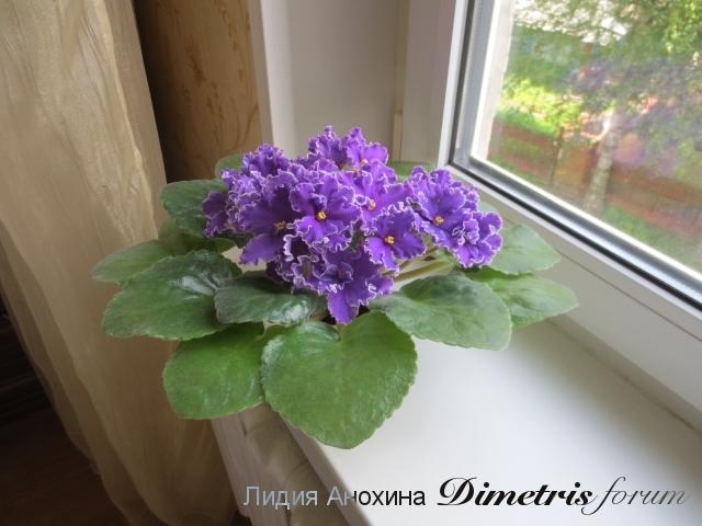 2015-06-04 09-24-56.jpg