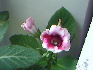 22_05_06_1118_138.jpg