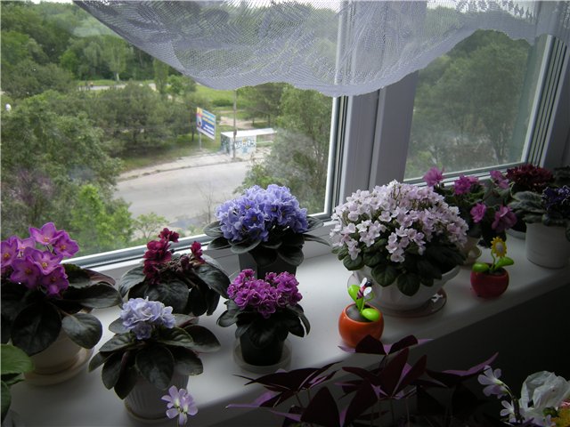65b62308064b.jpg