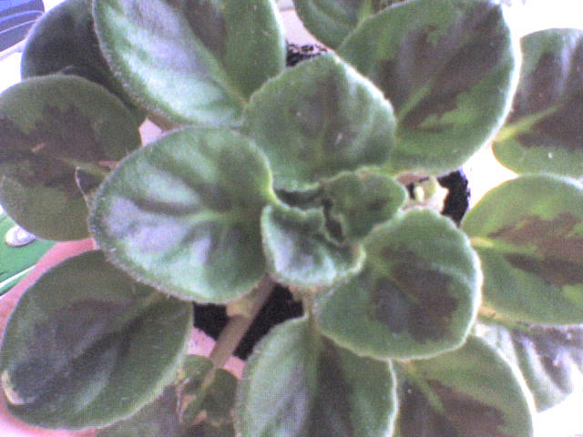 8324c8657e35.jpg