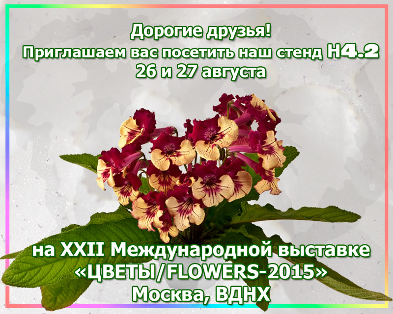 -Москва-Виктория.jpg