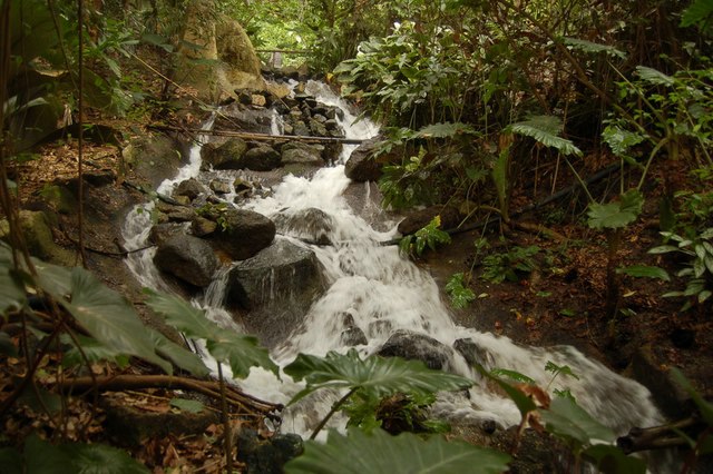 - Eden Project  5 [640x480].jpg