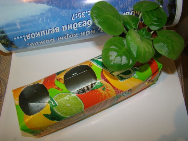 a72c9d0d2e4d.jpg