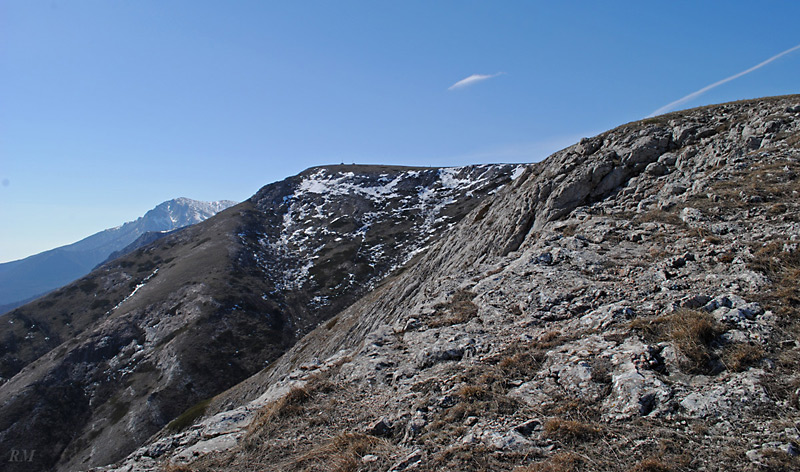 c14.jpg