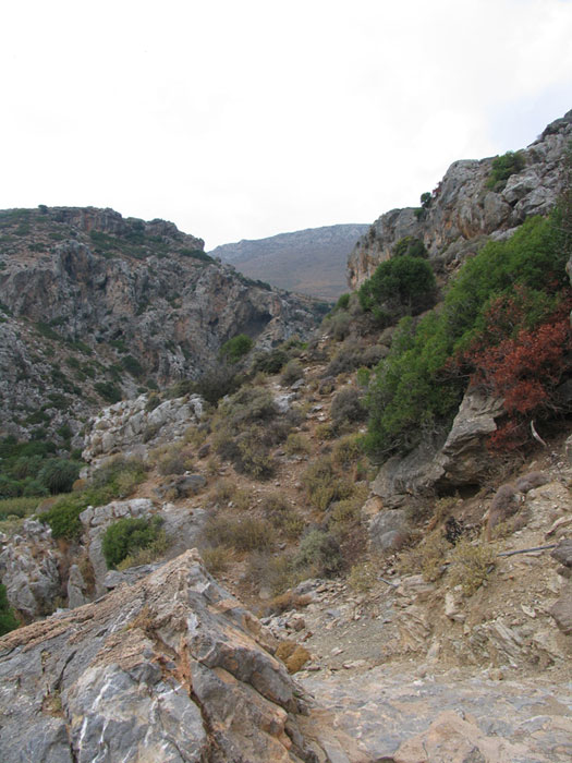 Creta_gori_4.jpg