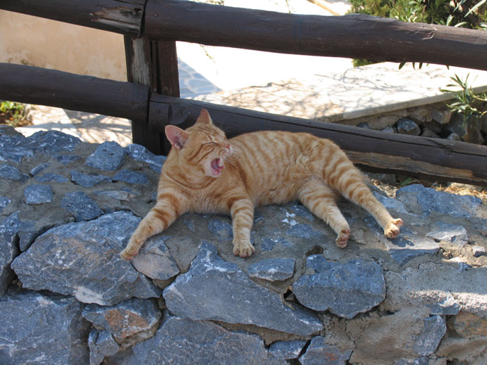 Creta_Prevely_3.jpg