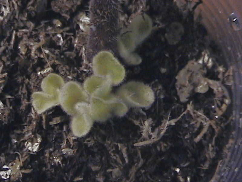 DCAM0016.JPG