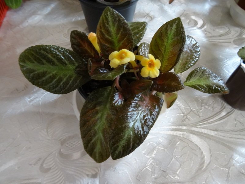 DSC00807.JPG