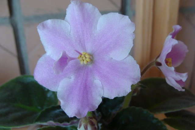 DSC01326 [640x480].JPG