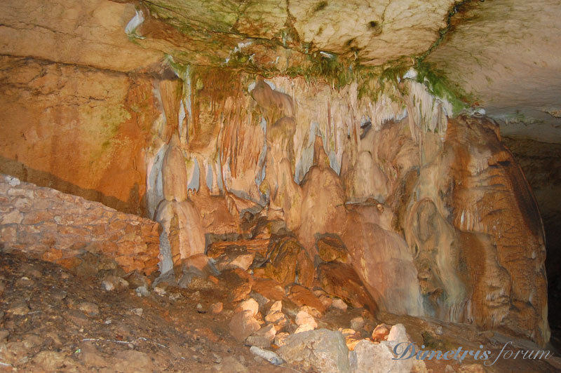 DSC_3667.jpg