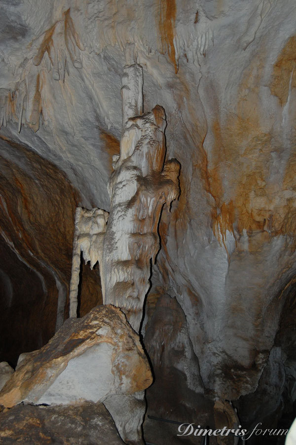 DSC_3687.jpg