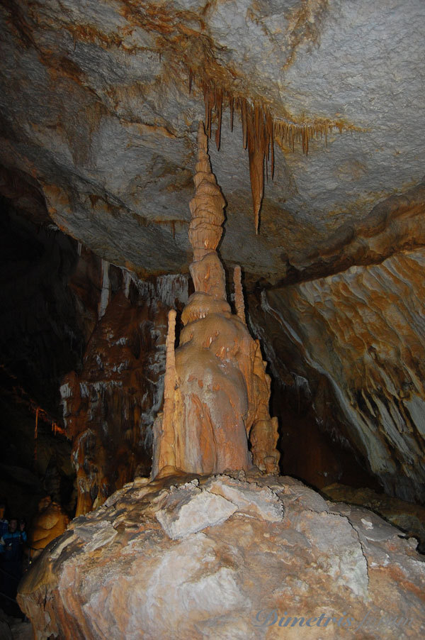 DSC_3728.jpg