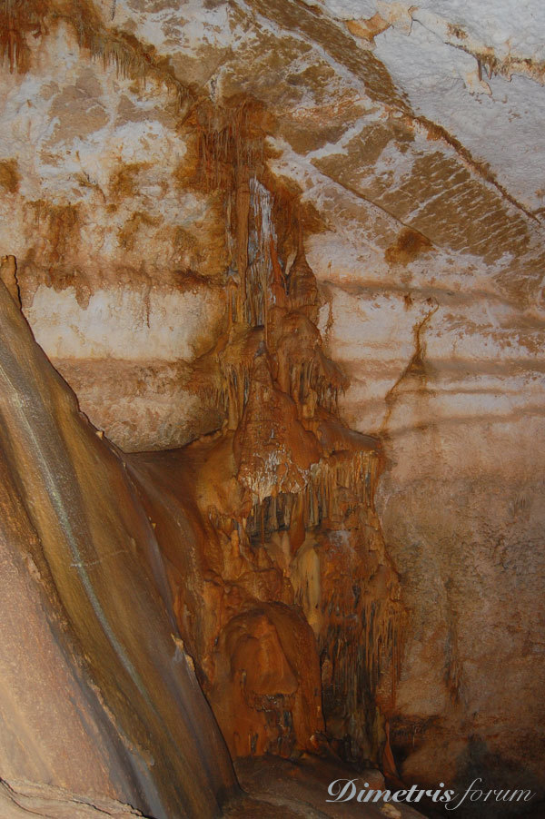 DSC_3752.jpg
