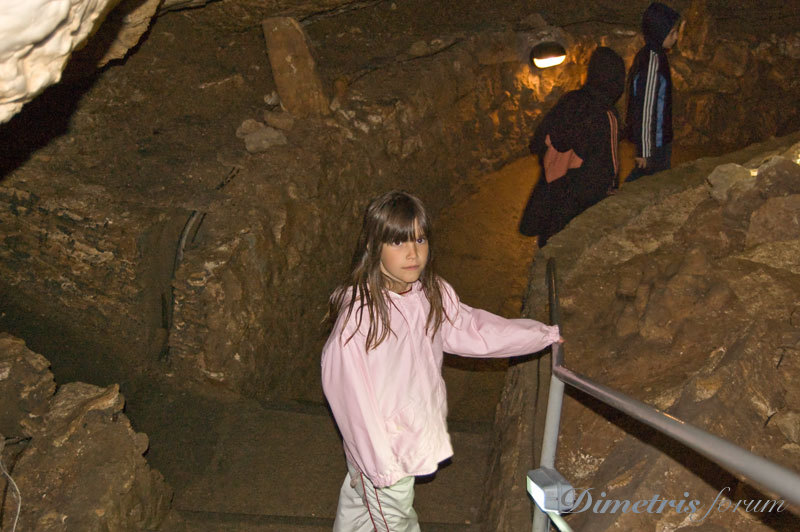 DSC_3775.jpg
