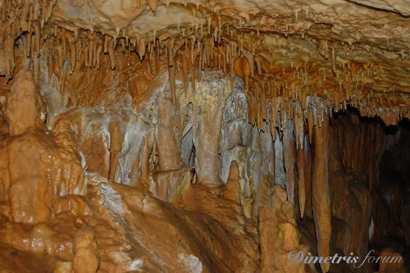 DSC_3777.jpg
