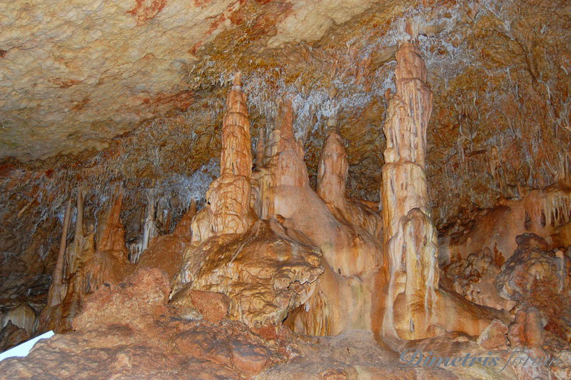 DSC_3783.jpg
