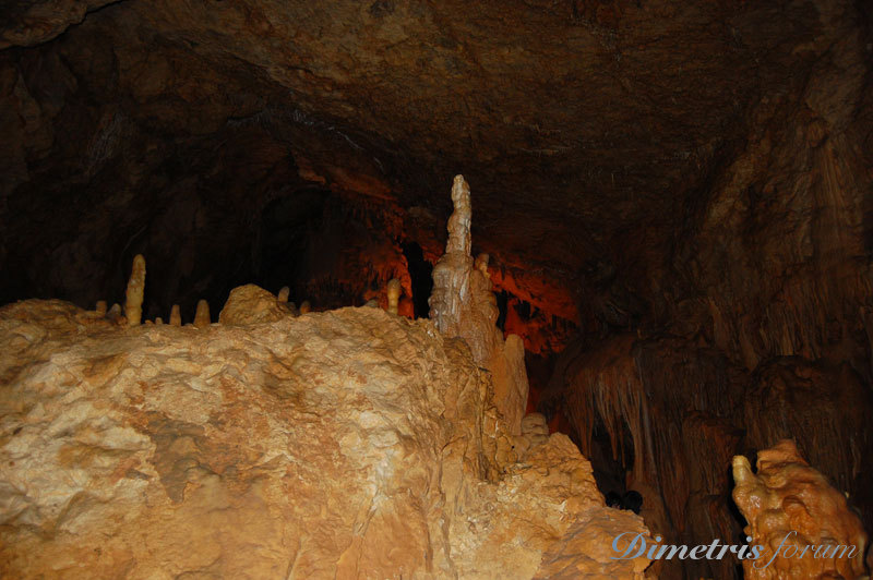 DSC_3798.jpg