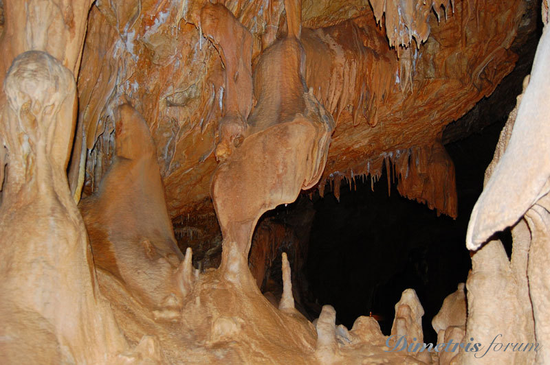 DSC_3828.jpg