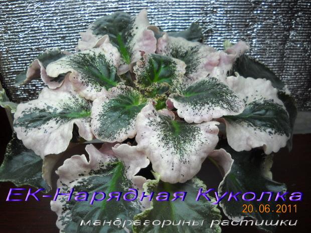 DSCN1529.jpg