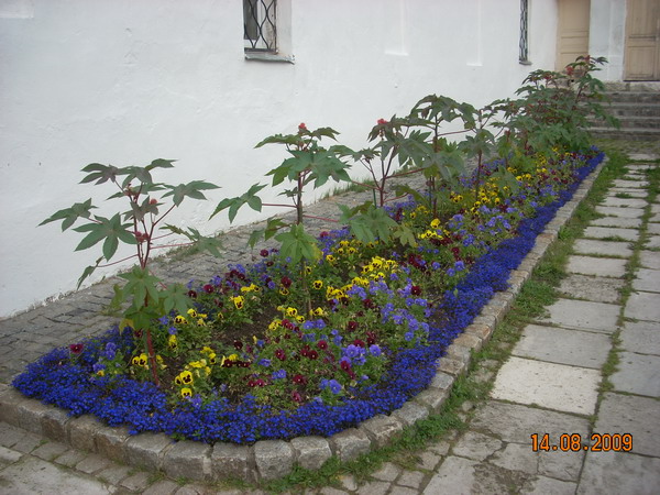 DSCN2344.jpg