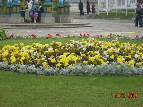 DSCN2347.jpg