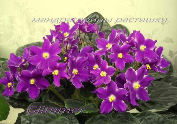 DSCN4041 ф.jpg