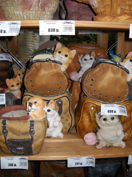 DSCN4260.jpg