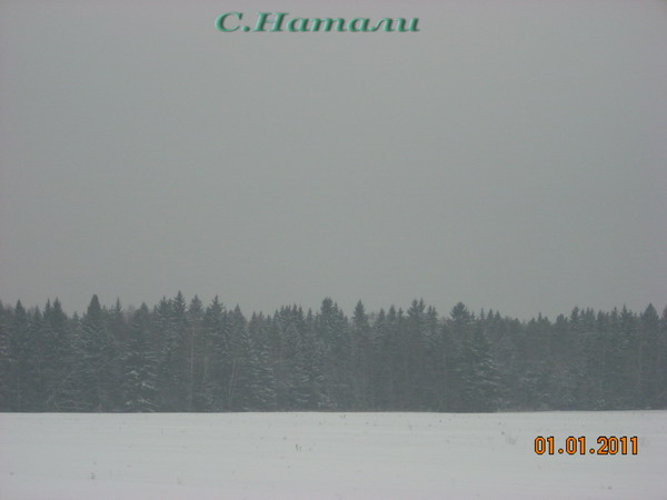 DSCN5185.jpg
