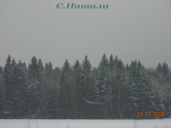 DSCN5187.jpg