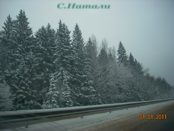 DSCN5188.jpg