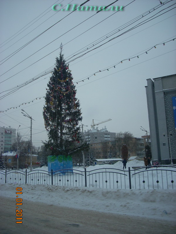 DSCN5189.jpg