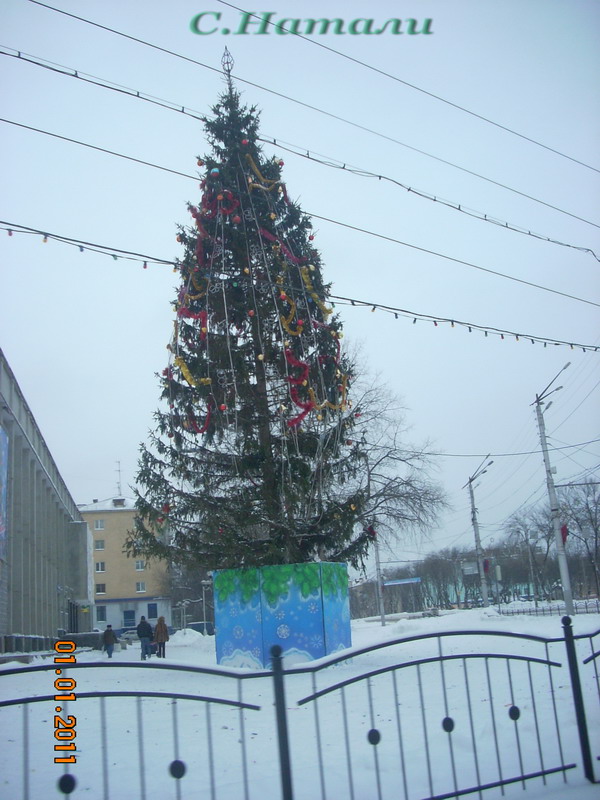DSCN5191.jpg