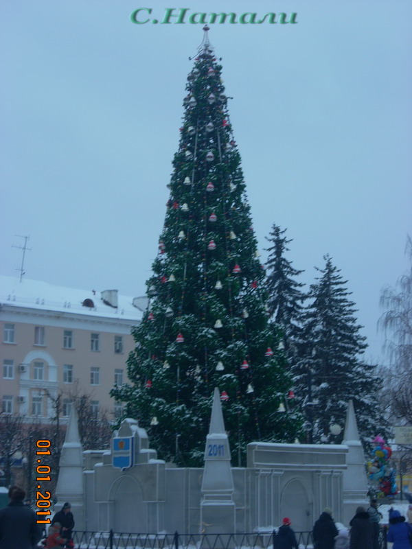 DSCN5195.jpg