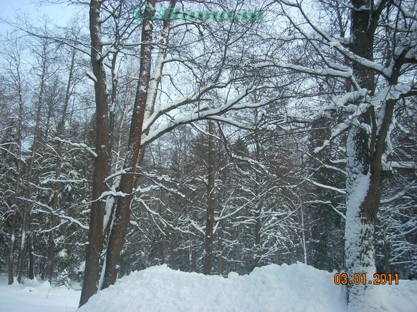 DSCN5200.jpg