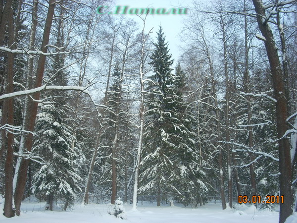 DSCN5201.jpg