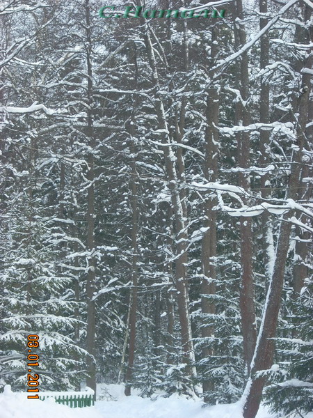 DSCN5202.jpg