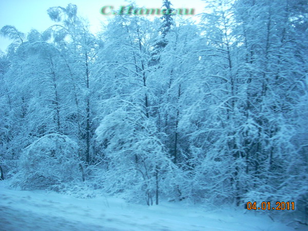 DSCN5214.jpg