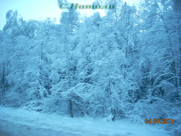 DSCN5215.jpg