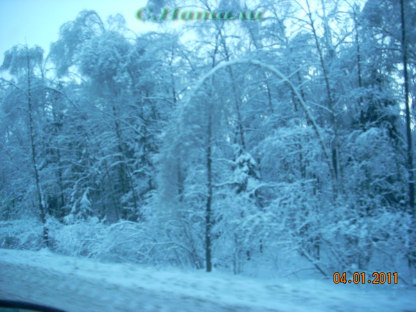 DSCN5216.jpg
