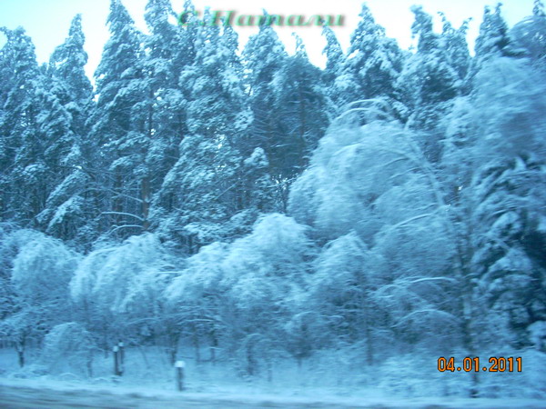 DSCN5217.jpg