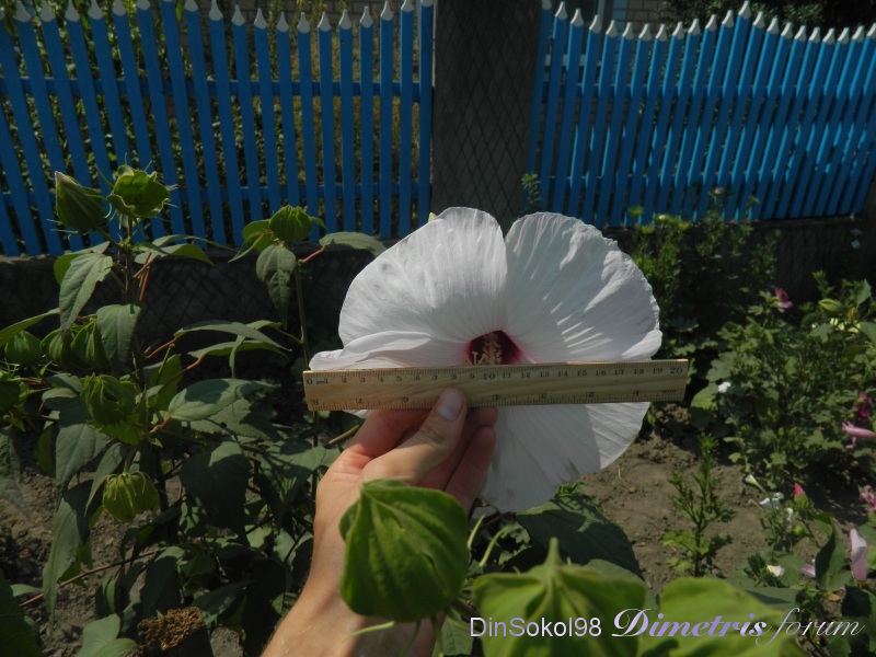 DSCN6107.JPG
