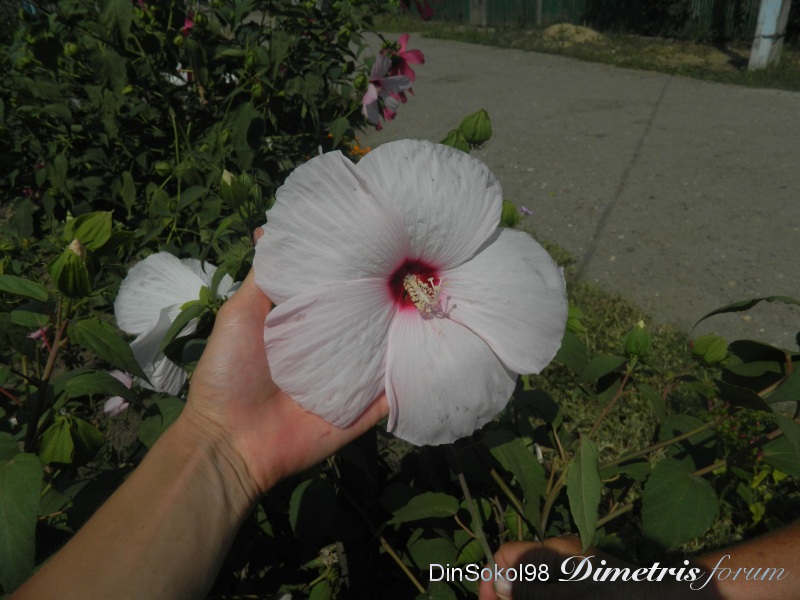 DSCN6109.JPG